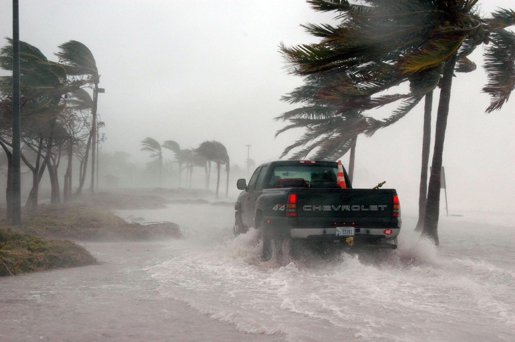 key west, florida, hurricane, hurricane dennis, weather, storm surge, stormy, wind, dangerous, truck, water, nature, sea, ocean, palm trees, outside, flooded, earth day, hurricane, hurricane, hurricane, hurricane, hurricane